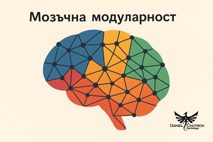 Модуларност (модулност) на мозъка