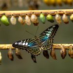 Процесът на психотерапия и промяна – етапи и методи