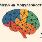 Модуларност (модулност) на мозъка